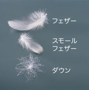 フェザーとダウンの違い